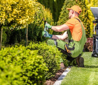 10 Proven Ways To Make More Money For Your Lawn Care Business