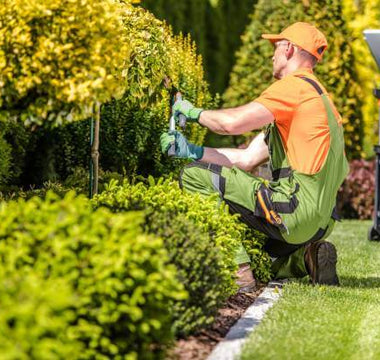 10 Proven Ways To Make More Money For Your Lawn Care Business